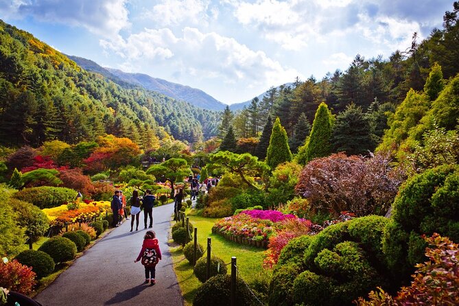 Full Day Private Tour Nami Island, Garden & Petite France - Pinocchio & Da Vinci Italian Village: The Finale With More Theme-park Energy