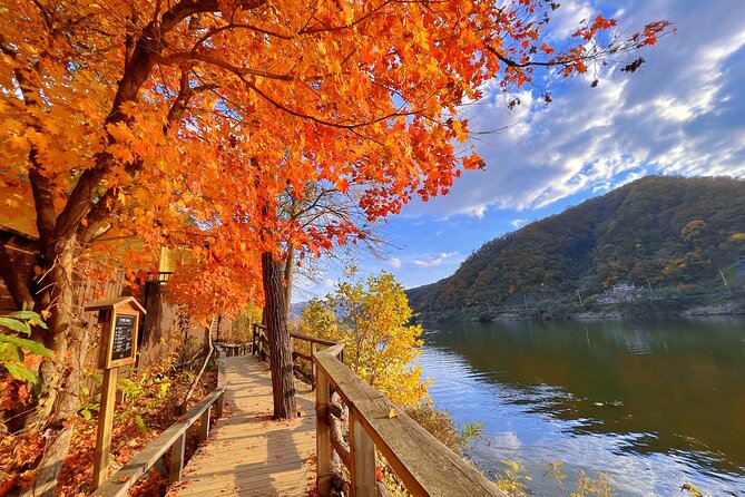 Full Day Private Tour Nami Island, Garden & Petite France - Lunch Break: Included Korean BBQ, But Quality Can Vary