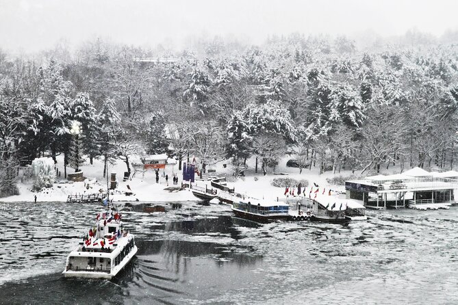 Full Day Private Tour Nami Island, Garden & Petite France - Weather and Timing: The Day Works Best With Good Conditions
