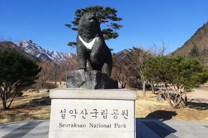Full-Day Tour in Mt. Seorak & Nami (+Rail Bike Option) - Why this Seoraksan–Nami combo works on one long day