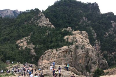 Full-Day Tour in Mt. Seorak & Nami (+Rail Bike Option) - Morning departures from Seoul: pick-up points and how to avoid stress