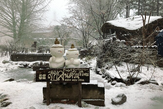Full-Day Tour in Mt. Seorak & Nami (+Rail Bike Option) - Nami Island: Winter Sonata calm, tree-lined walks, and photo-friendly art