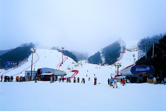 Gangchon Elysian Ski Day Trip from Seoul - Why Gangchon Elysian works so well as a Seoul ski day