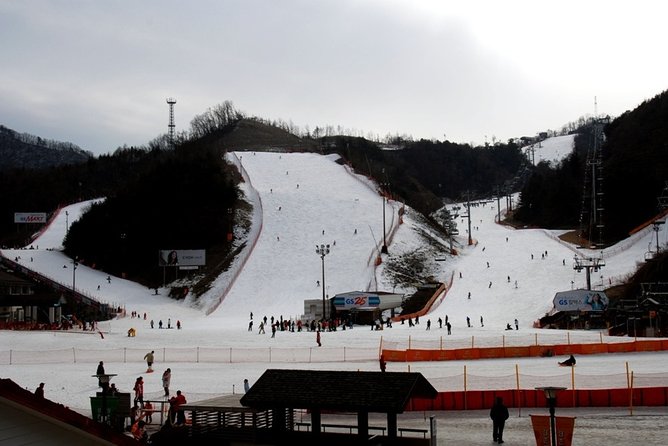 Gangchon Elysian Ski Day Trip from Seoul - Price and value: what $41.03 really buys you