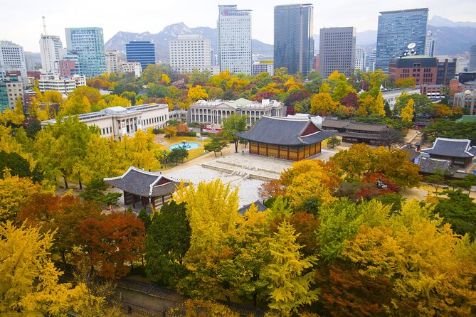 Highlights of Seoul Tour in Seoul: Deoksugung & N Seoul Tower - Cheongha Korea Ginseng Museum: the plant behind the stories
