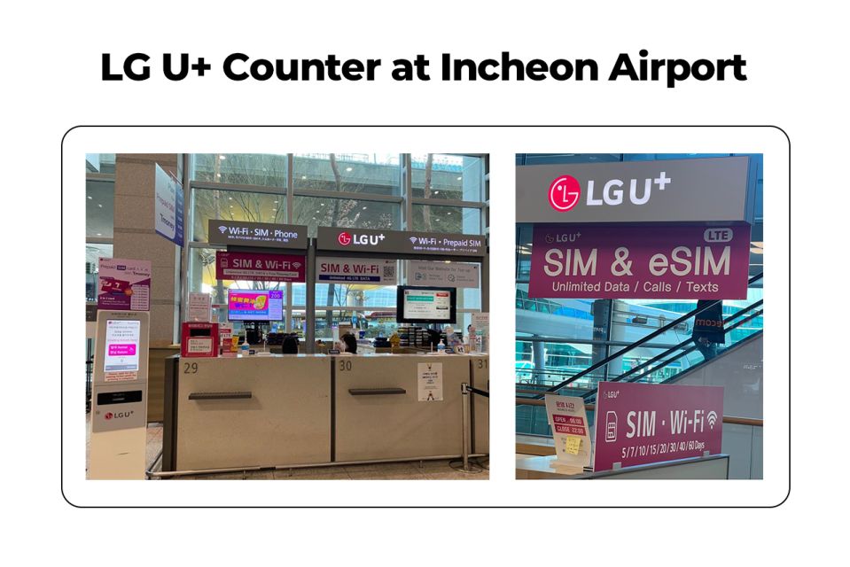 Incheon Airport: Traveler SIM & T-money Transportation Card - Key Things You’ll Notice Right Away