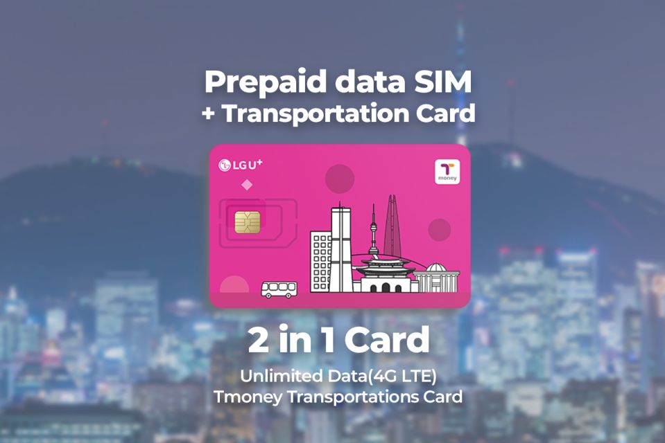 Incheon Airport: Traveler SIM & T-money Transportation Card - What Happens at the Counter (And Why It Matters)