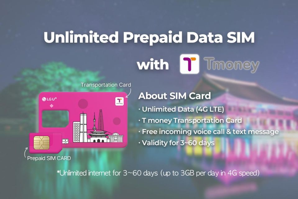 Incheon Airport: Traveler SIM & T-money Transportation Card - Price and Value: Why $12 Can Be a Smart Deal
