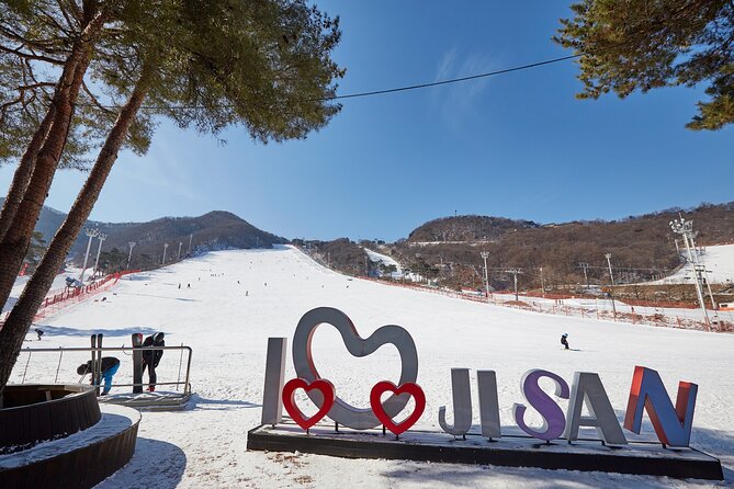 Korea Ski Tour from Seoul - Jisan Resort with Isaac Toast - Key Highlights That Matter