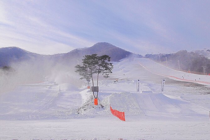 Korea Ski Tour from Seoul - Jisan Resort with Isaac Toast - Seoul to Jisan: The Winter Reset You Can Actually Do