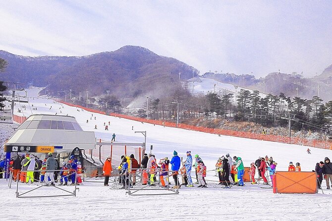 Korea Ski Tour from Seoul - Jisan Resort with Isaac Toast - Jisan Forest Resort: Slopes, Lifts, and How to Choose What’s Next