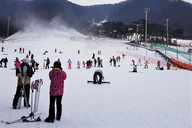 Korea Ski Tour from Seoul - Jisan Resort with Isaac Toast - How the Group Experience Feels in Real Life