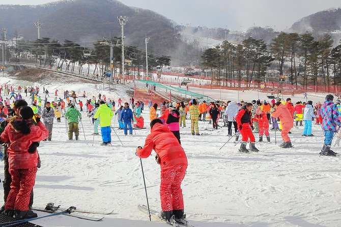 Korea Ski Tour from Seoul - Jisan Resort with Isaac Toast - When This Tour Makes Sense (And When It Might Not)