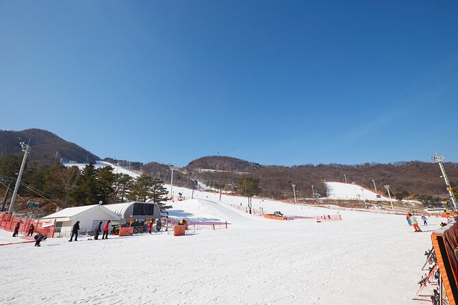Korea Ski Tour from Seoul - Jisan Resort with Isaac Toast - Should You Book the Korea Ski Tour to Jisan?