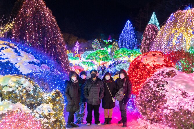 Make Your Trip Around Nami Island With an Expert(DSLR option) - Private DSLR Photoshoot Day Trip: What Makes It Different