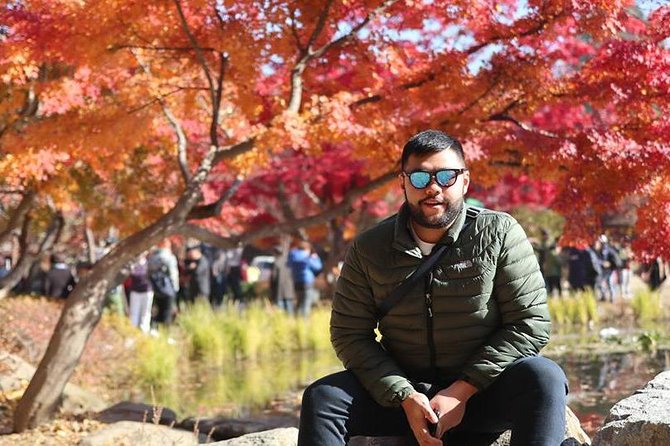 Make Your Trip Around Nami Island With an Expert(DSLR option) - Your Day Plan: How the Timing Works From Seoul