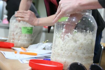 Makgeolli Brewing Class - Meeting at 229 Changgyeonggung-ro: Getting Oriented Fast