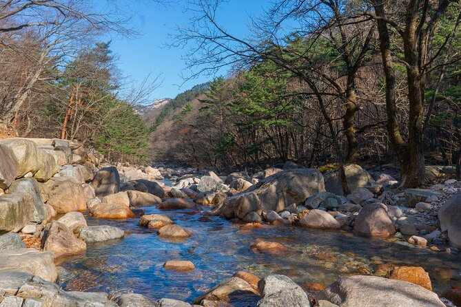 Mount Seorak and Nami Island One Day Tour from Seoul - Nami Island for 3 hours: tree-lined walks, bike freedom, and Winter Sonata nostalgia