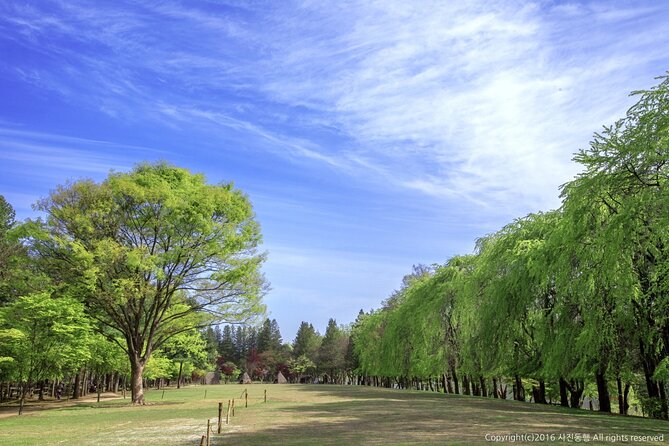 Mount Seorak and Nami Island One Day Tour from Seoul - Timing, food, and weather: how to avoid a stressful long day