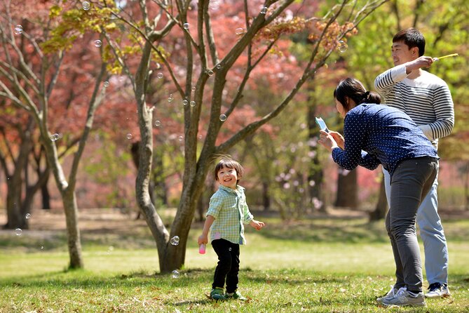 Mount Seorak and Nami Island One Day Tour from Seoul - Price and value check: what $80.95 buys you (and what you still cover)