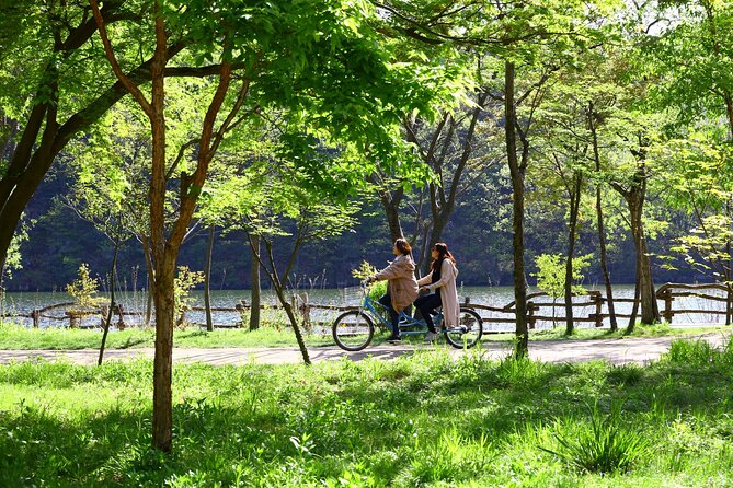 Mount Seorak and Nami Island One Day Tour from Seoul - Who this tour fits best (and who might want a different plan)