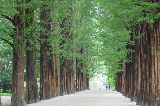 Mount Seorak and Nami Island One Day Tour from Seoul - Seoraksan National Park in about 3 hours: trails, cable car, and view strategy