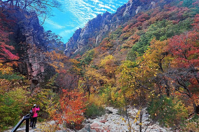 Mt. Seorak+Nami Island+Garden of Morning Calm Day Trip from Seoul - Why This Seorak–Nami–Morning Calm Loop Works From Seoul