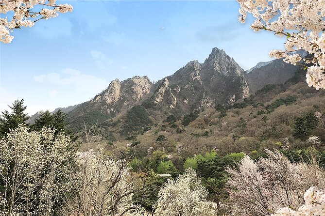 Mt. Seorak+Nami Island+Garden of Morning Calm Day Trip from Seoul - Your Day Starts in Central Seoul: Pick Your Meet-Up