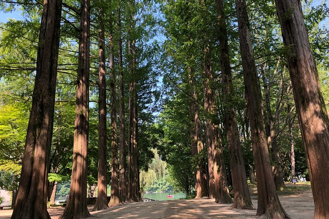 Mt. Seorak+Nami Island+Garden of Morning Calm Day Trip from Seoul - Cable Car vs Jujeongol Valley Hiking During Fall Foliage Season