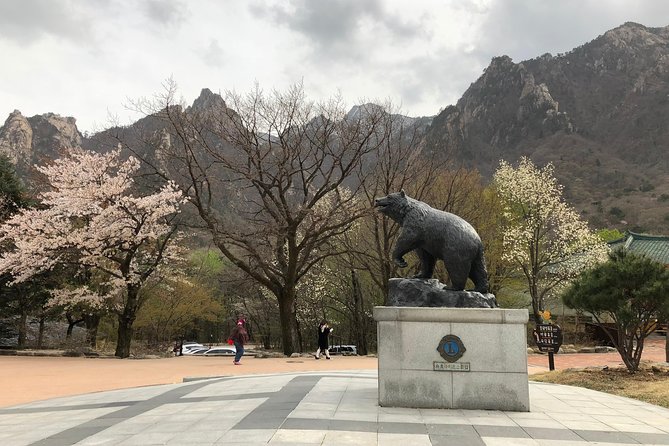 Mt. Seorak+Nami Island+Garden of Morning Calm Day Trip from Seoul - Nami Island: Ferry Ride, Tree Walks, and Photo Reality
