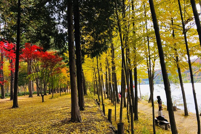 Mt. Seorak+Nami Island+Garden of Morning Calm Day Trip from Seoul - What the Long Day Feels Like in Real Life (and How to Cope)