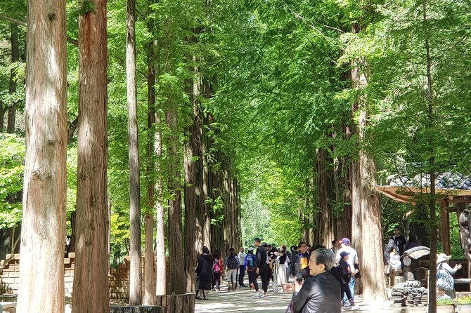 Nami Island and Petite France - Filming location - The Short Version: What This Nami Island + Petite France Tour Really Delivers