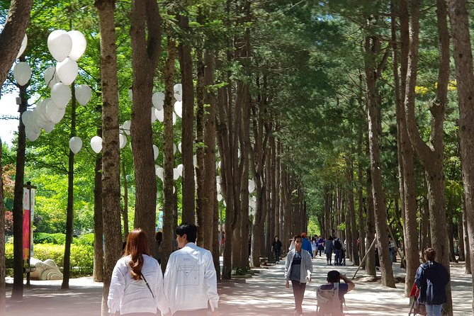 Nami Island and Petite France - Filming location - Entering The Day: Pickup, Timing, and How the 8 Hours Work