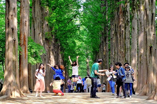 Nami Island, Cable Car, Garden of Morning Calm Panoramic Tour - How the day moves: pickup, coach time, ferry time, then back to Seoul