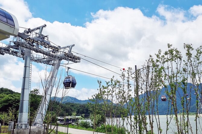 Nami Island, Cable Car, Garden of Morning Calm Panoramic Tour - The ginseng museum stop: what it is, and how to handle it