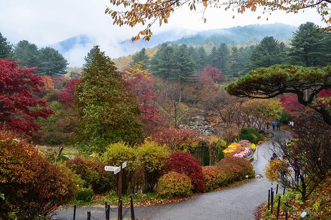 Nami Island from Seoul: Petit France and Garden of Morning Calm - Getting to Nami Island: Drive Time, Time on the Island, and Admission Fees