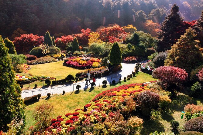 Nami Island & Garden of Morning Calm & Gangchon Railbike Tour - Choosing the right kind of day trip for your style