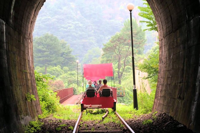 Nami Island & Garden of Morning Calm & Gangchon Railbike Tour - How the day runs: timing, pacing, and what can shift