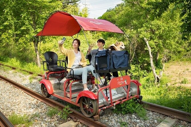 Nami Island & Petite France & Italian Village & Gangchon Rail Bike One-Day Tour - Who this tour suits best (and who should skip it)