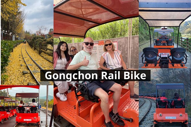 Nami Island & Petite France & Italian Village & Gangchon Rail Bike One-Day Tour - Nami Island promenades: tree-lined walks and crowd reality