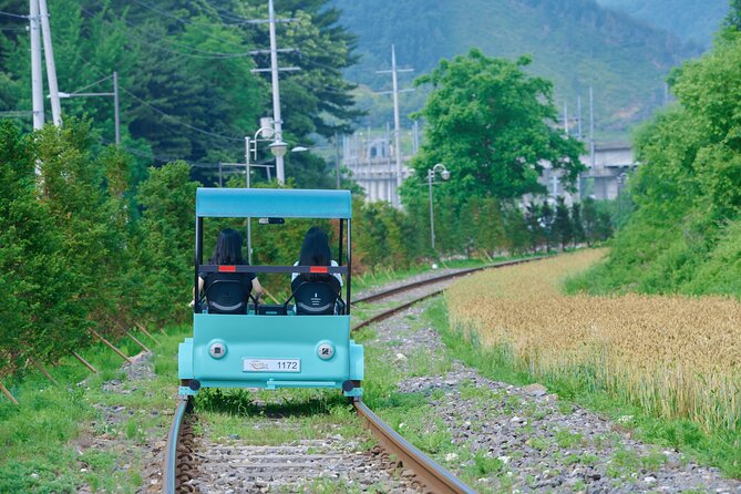 Nami Island Trip with Petite France & Italian Village and Gangchon Rail Bike - A Full-Day Countryside Loop From Seoul (About 12 Hours)