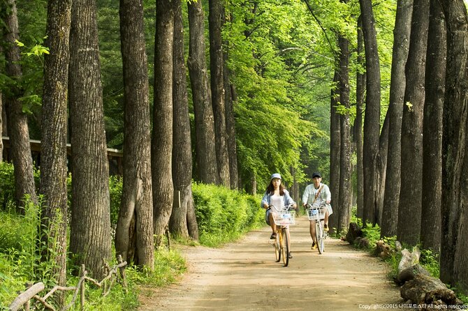 Nami Island Trip with Petite France & Italian Village and Gangchon Rail Bike - Guide Style and Group Energy: What Makes the Difference