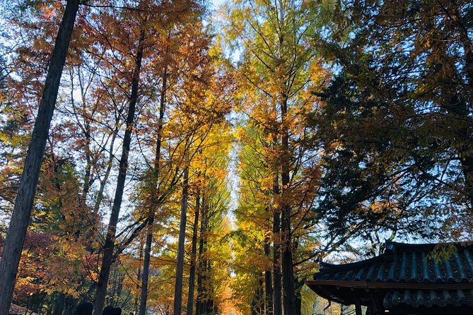 Nami+Alpaca+Garden of Morning Calm (+Rail Bike Option) - Nami Island ferry day: half-moon views, photo culture, and the General Nami story