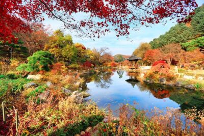 Pocheon Art Valley, Garden & Fruit Picking Day Tour from Seoul - Pocheon Art Valley: calm walking, big views, and that lake moment