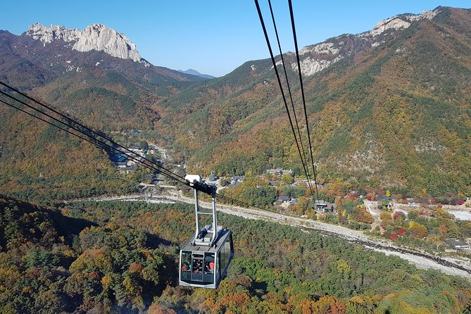 [Premium Private Tour] Mt Seorak & East Sea or Nami island from Seoul - Price and logistics: what $258 really buys you