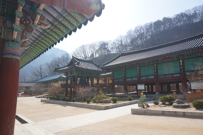 [Premium Private Tour] Mt Seorak & East Sea or Nami island from Seoul - Lunch in Sokcho area: fuel without derailing the schedule