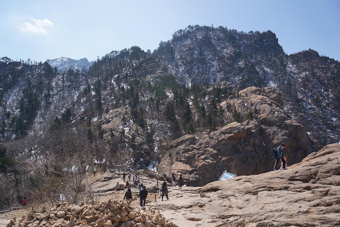 [Premium Private Tour] Mt Seorak & East Sea or Nami island from Seoul - Nami Island vs East Coast time: choose the mood of the day