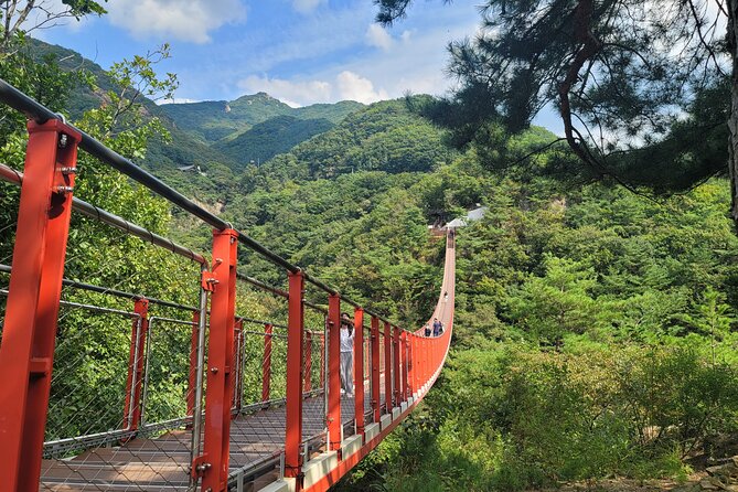 Private DMZ Tour and Suspension Bridge + Korean BBQ - Third Tunnel: where the day gets intense
