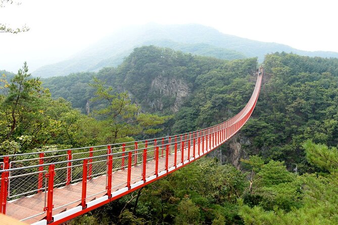 Private DMZ Tour (No Shopping): 3rd Tunnel & Suspension Bridge - Private DMZ Comfort: What You’re Really Paying For