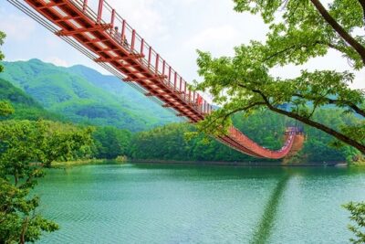 Private DMZ Tour (No Shopping): 3rd Tunnel & Suspension Bridge - Price and Logistics That Affect Your Day (Not Just Your Wallet)